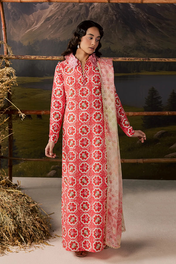 ladies dress in pakistan Female Dresses Pakistani Pakistani Clothes